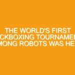 The world’s first kickboxing tournament among robots was held