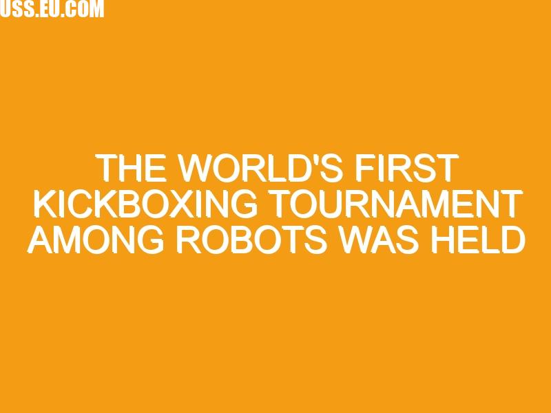 The world’s first kickboxing tournament among robots was held