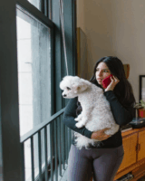 Discovering the Decker Rat Terrier: A Loyal and Versatile Companion
