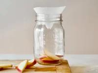 How to Get Rid of Fruit Flies in Your Reading Business