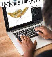 Convert Embroidery File for Brother Embroidery Machine Without Losing Quality