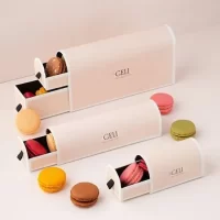 Macaron Rigid Box – Luxury Packaging for Delicate Treats
