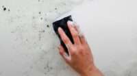 Garage Mold Removal Tips That Prevent Future Growth