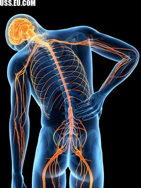 Gabatop 800mg helps manage spinal cord injury pain by stabilizing nerve signals.