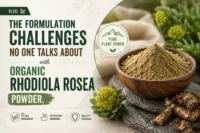 The Formulation Challenges No One Talks About with Organic Rhodiola Rosea Powder